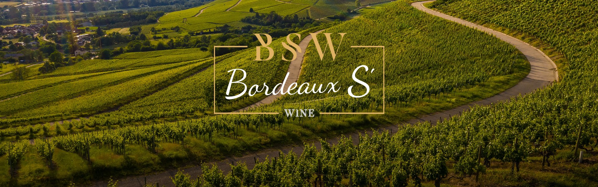 Visuel Bordeaux S'Wine
